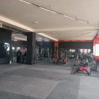 نیروی کار باشگاه بدنسازی