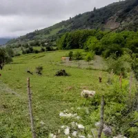 زمین-ییلاقی-ارده