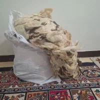 پشمه تشکی درشت وتمیز چهارکیلو