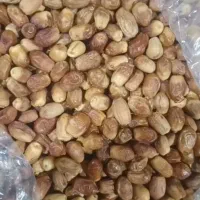 خرما زاهدی درجه یک کارتن حدود ۱۰/۵کیلو