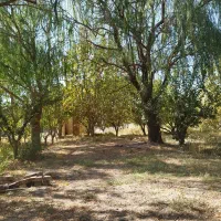 زمین باغ (باغچه)قدیمی سند دار