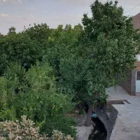 باغ انار روستای گوداسیا