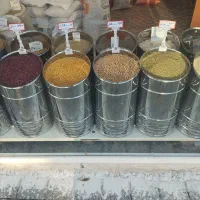 فروش حبوبات محصولات امسال تازه (عمده و خرده)