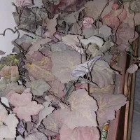 درخت و گل مصنوعی|گل مصنوعی|تهران, فلسطین (میدان انقلاب)|دیوار