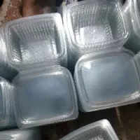 تعداد ظرف یکبارمصرف دلی