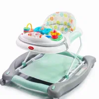 روروئک خارجی