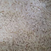 برنج دم سیاه لرستان