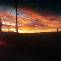 توری پلیسه باکیفیت ترین جنس