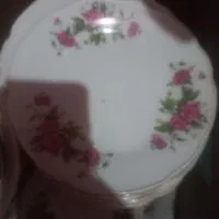 گل سرخی