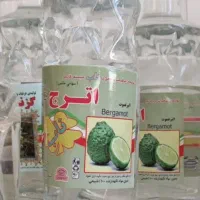 تب شکن . اعصاب معده