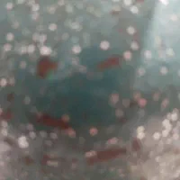 نقاش اتومبیل حرفه ای