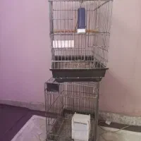 قفس کاسکویی اورال