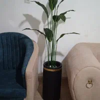 درختچه مصنوعی بزرگ|گل مصنوعی|خرم‌آباد, |دیوار