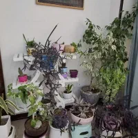 ۱۵۰متر ۳خواب فول سالن روبه آفتاب تک واحدی دریانو|فروش آپارتمان|تهران, دریاننو|دیوار