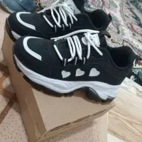 کفش نو|کیف، کفش، کمربند|سرپل ذهاب, |دیوار