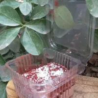 گروه کافی شاپی ماتا