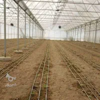 زمین گلخانه حاجی آباد آشکارا تنب شناک ۵۶۰۰متر
