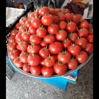 حجره-میدان-تره-بار