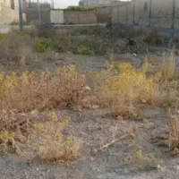 زمین مسکونی
