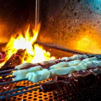 اغذیه و جگرسرای وطن|خدمات پذیرایی، مراسم|بیرجند, |دیوار