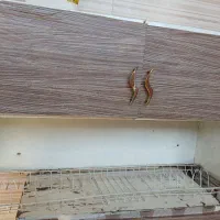 سینک|آبچکان و نظمدهنده ظروف|دزفول, |دیوار