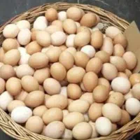 تخم مرغ محلی