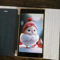 تبلت لنوو|تبلت|قم, ولیعصر|دیوار