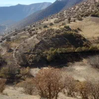 فروش زمین کشاورزی|فروش دفتر صنعتی، کشاورزی، تجاری|مریوان, |دیوار