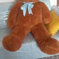 عروسک خرسی|اسباب‌‌بازی|رباط‌کریم, رباط‌کریم|دیوار