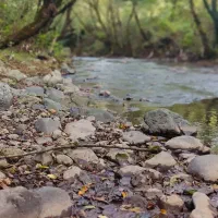 اجاره روزانه اقامتگاه  همرا با اتاق و سوئیت|اجارهٔ کوتاه‌مدت آپارتمان و سوئیت|رستم‌آباد, |دیوار