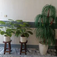 گل مصنوعی فروشی