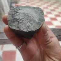 شجر|کلکسیون اشیاء عتیقه|سنندج, |دیوار