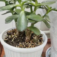 دنبال کار کنتراتی یا پاره وقت هستم