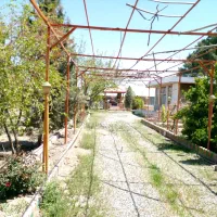 خدمات باغبانی