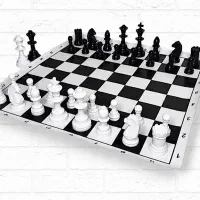 فروش آنلاین شطرنج