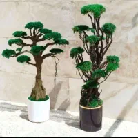 گل های مصنوعی|گل مصنوعی|ورامین, ورامین|دیوار