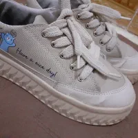 کفش|کیف، کفش، کمربند|سبزوار, گلشن|دیوار