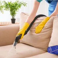 مبل شویی گریین