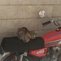 هندا ۱۲۵/مدل۸۷/سالم سالم