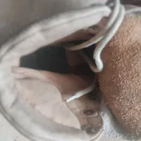 حراج دو جفت کتونی|کیف، کفش، کمربند|اراک, |دیوار