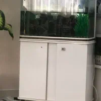 اکواریوم شیک