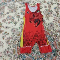 دوبنده کشتی برای ۱۳ سال