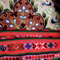 سرپاگ تمیز