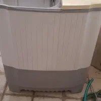 لباشوی دوقلو سالم