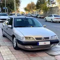 زانتیا 81 سالم