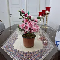 اجاره مسکن