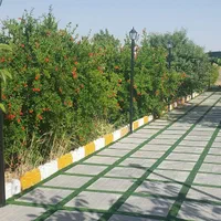 معاوضه باغ شهری سیاخ با خودرو و آپارتمان|فروش دفتر صنعتی، کشاورزی، تجاری|شیراز, شهرک ولیعصر|دیوار