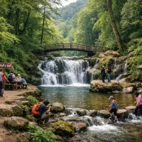 همراه طبیعت