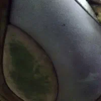 مبل