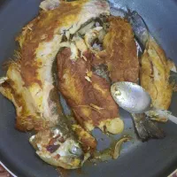 ماهی قزل الا